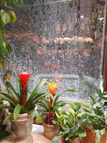 KukkaBox - Ravintola-ala