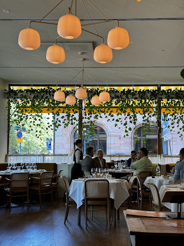 Café Savoy Open Times