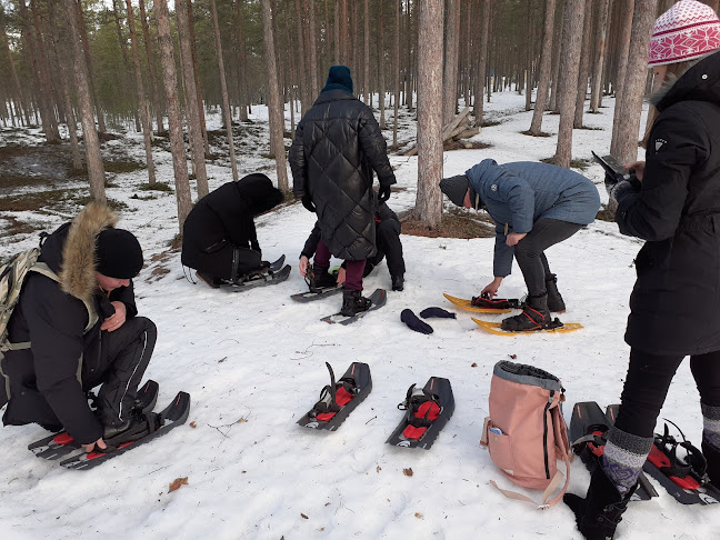 Comentarii opinii despre Safaritalo ,Hiekkasärkkien Ohjelmapalvelut Oy