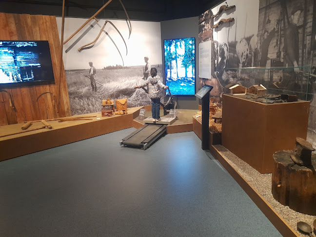 Comentarii opinii despre Satakunnan Museon kahvila