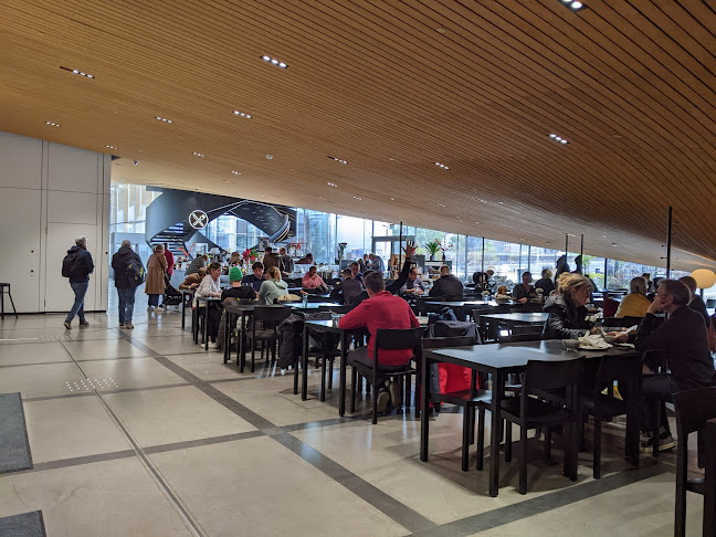 Ravintola Food & Co - Oodi - Ravintola-ala