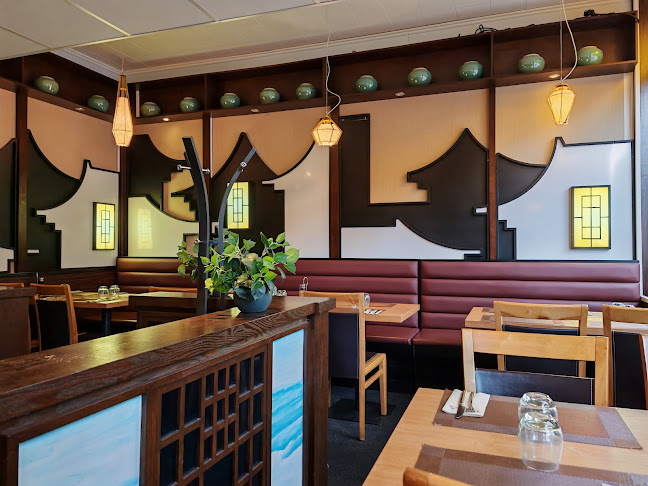 Comentarii opinii despre Tao Yuan