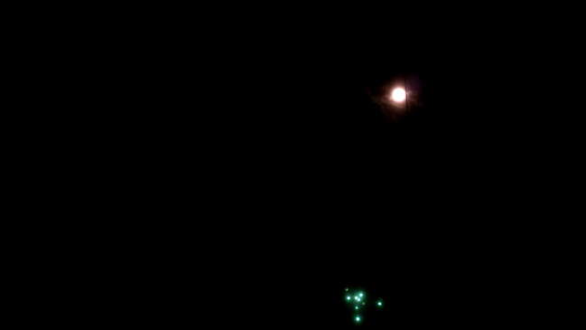 Calle-talo Pyhätunturi - Ravintola-ala