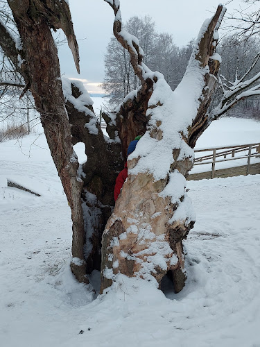 Kartano Järvenpää - Järvenpää