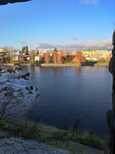 https://www.raflaamo.fi/fi/ravintola/savonlinna/olavinlinna-ravintolat
