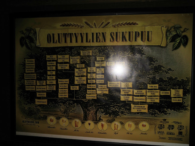 Comentarii opinii despre Rotterdam