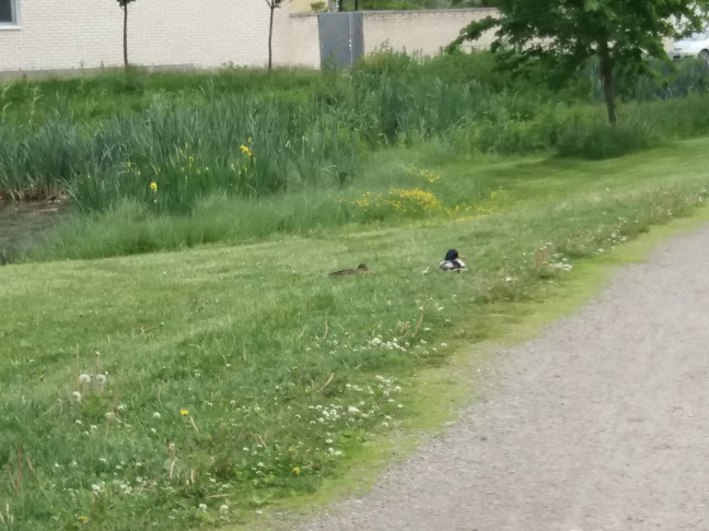 Comments and reviews of Amica-ravintola Hoiva Viikki