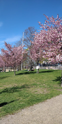 Comentarii opinii despre Kafé Koma