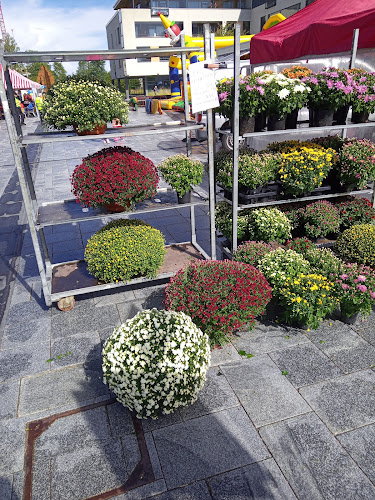 Tikkurilantori, Tikkurilan uusi tori - Vantaa