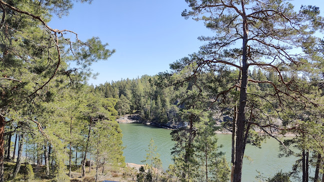 Comentarii opinii despre Ravintola The Berg