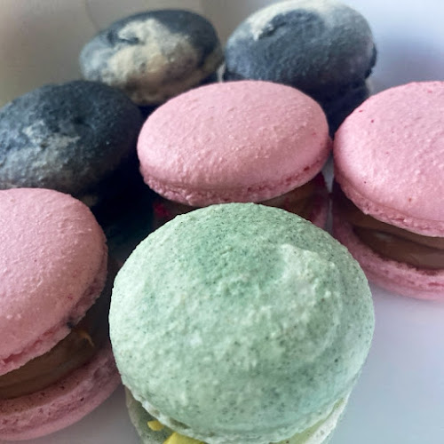 Comentarii opinii despre Leipomo Manna