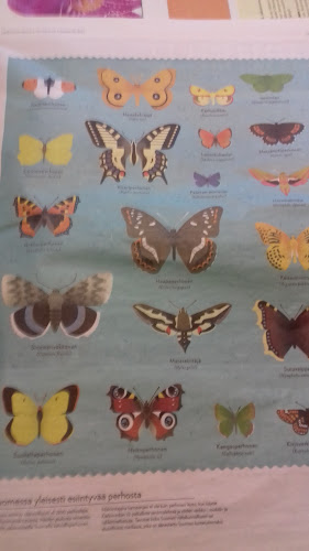 Opinii despre Aallonmurtaja Mäntyluoto în Pori - Ravintola-ala