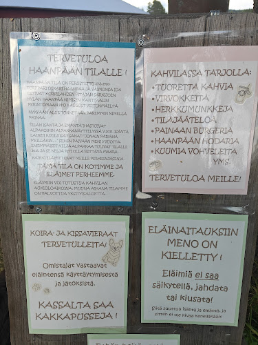 Haanpään Kesäkahvila / Alpakat