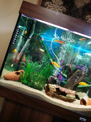 Laitumenkatu 6, 15300 Lahti