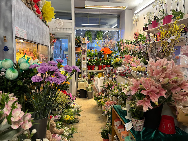 Laakson Karkki K&G ( kioski jäätelä kahvi ) - Helsinki