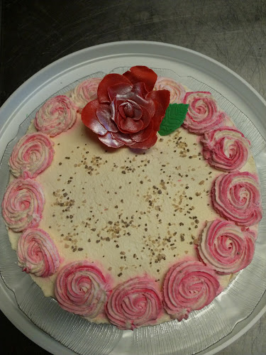 Comentarii opinii despre Maku Pirtti 66