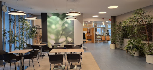 Aalto Catering Aapistie