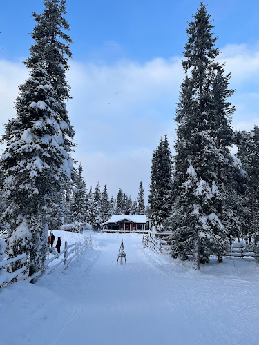 Comentarii opinii despre Lammintupa