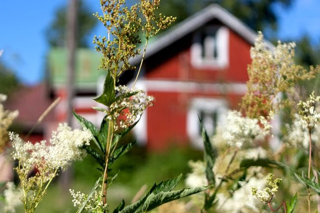 Opinii despre Kahvila Kylä ja luomutuotemyymälä în Aura - Ravintola-ala