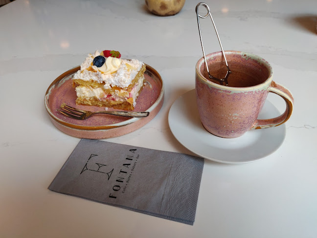 Comentarii opinii despre Fontana