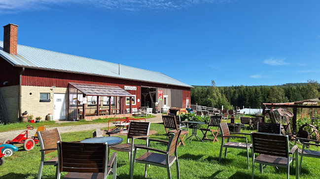 Haanpään Kesäkahvila / Alpakat - Ravintola-ala