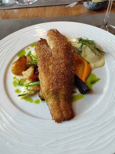 Comentarii opinii despre Oobu