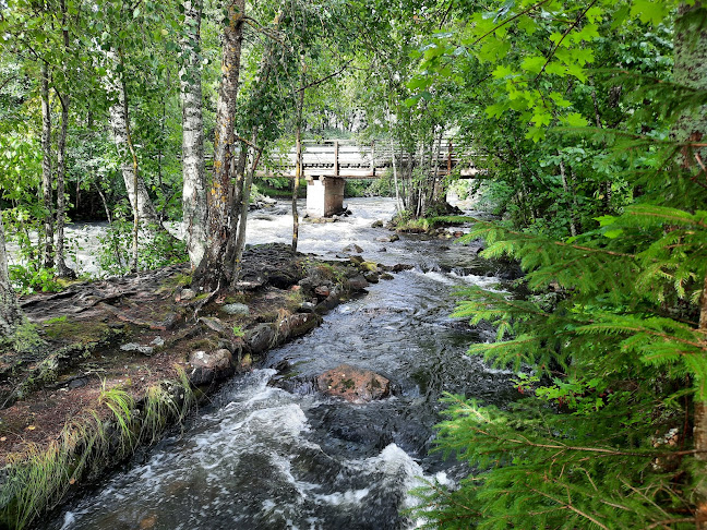 Comentarii opinii despre Piippu Terassikahvila, Vihavuosi