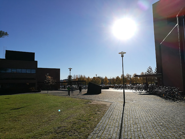 Comentarii opinii despre Carelia