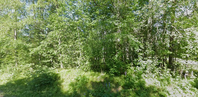 Kotopulla - Ravintola-ala