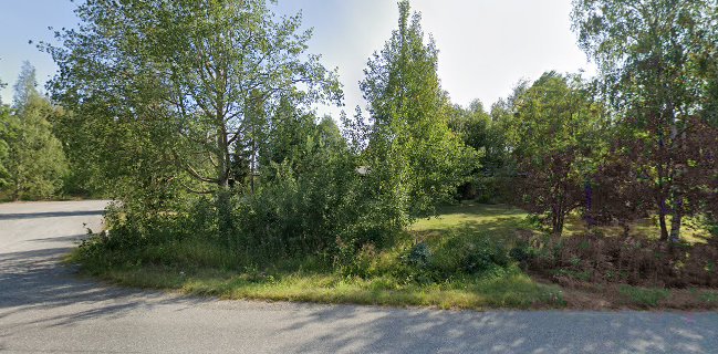 Opinii despre Pitopalvelu Maustemylly în Valkeakoski - Ravintola-ala