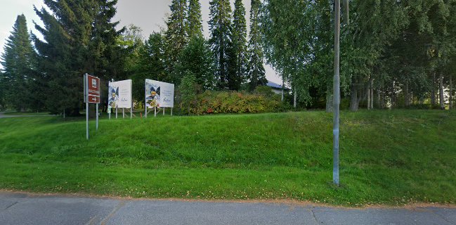 Opinii despre Saarijärven Ruustinna în Saarijärvi - Ravintola-ala