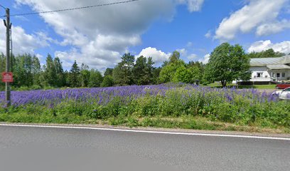 Pitopalvelu R. Holappa Oy