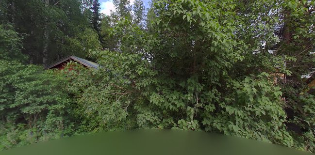 Pitopalvelu Brita Kulmala - Visuvesi