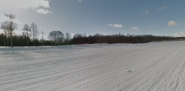 Ounasjoen itäpuolentie 21, 96900 Rovaniemi