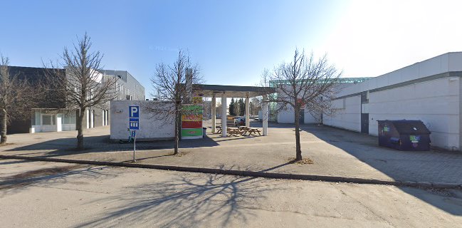 Grilli Seventy Seven