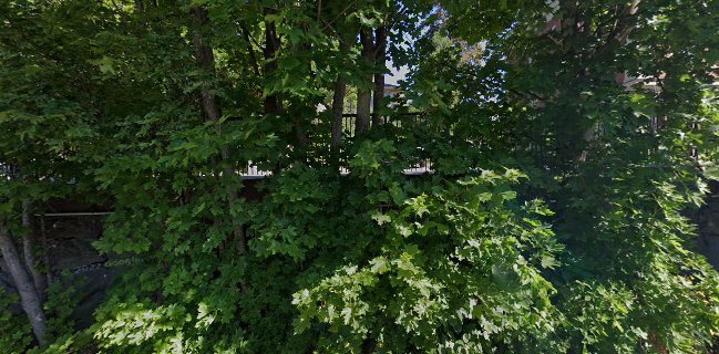 Tampereen salainen kahvila - The secret garden cafe tampere