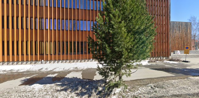 Ravintola Pepé Metla