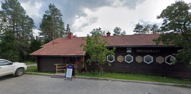 Royal Reindeer Ounasvaara