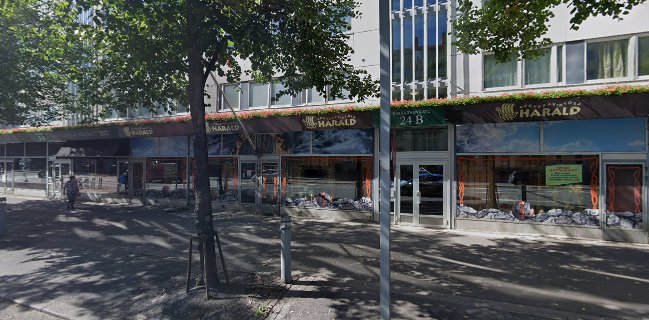 Viikinkiravintola Harald