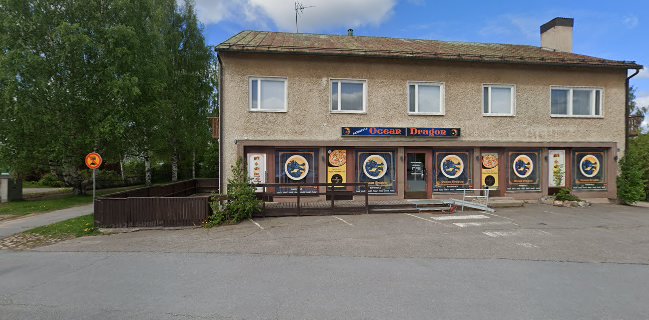 Opinii despre Ocean Dragon în Kurikka - Ravintola-ala
