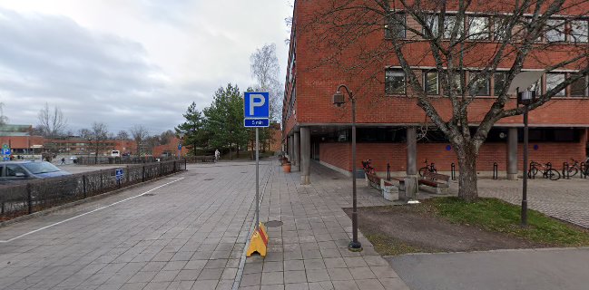 Opinii despre Ravintola Mau-Kas în Espoo - Ravintola-ala