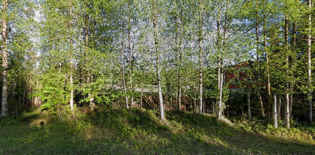 Studioravintola Tundra