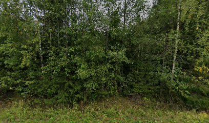 Pitopalvelu Ritva Rouvankivi Tmi