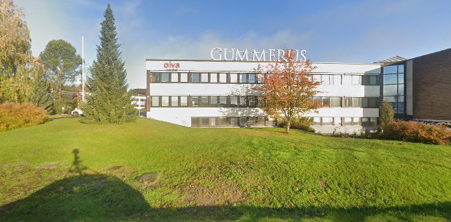 Comentarii opinii despre Safkamestarit Ky