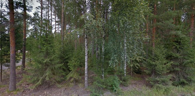 Pietniemen Saunatupa Ky