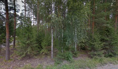 Pietniemen Saunatupa Ky