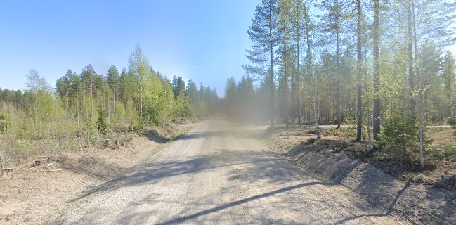 Comentarii opinii despre Juhla- ja pitopalvelu Ritarinkangas Oy