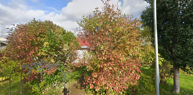 Pitopalvelu Paratiisilintu