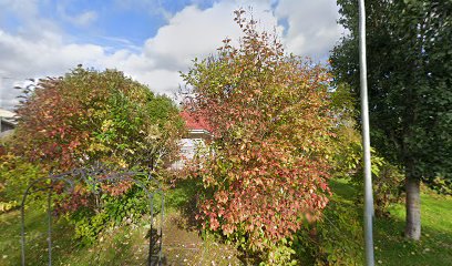 Pitopalvelu Paratiisilintu