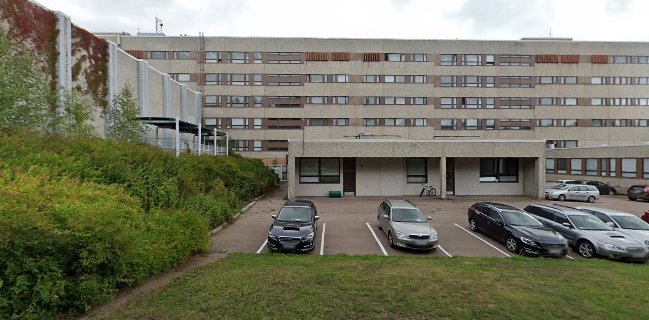 Ravintola Junnu - Ravintola-ala